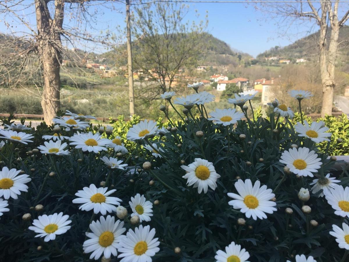 Belvedere Resort Ai Colli Galzignano Terme Luaran gambar