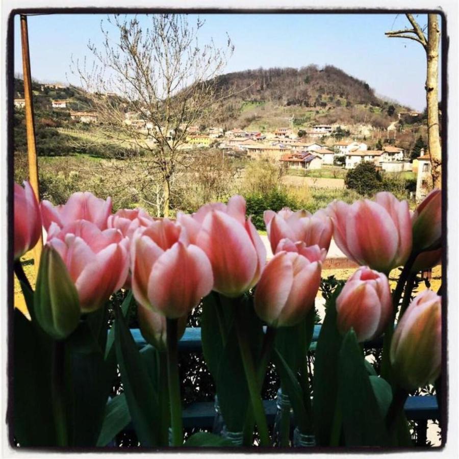 Belvedere Resort Ai Colli Galzignano Terme Luaran gambar
